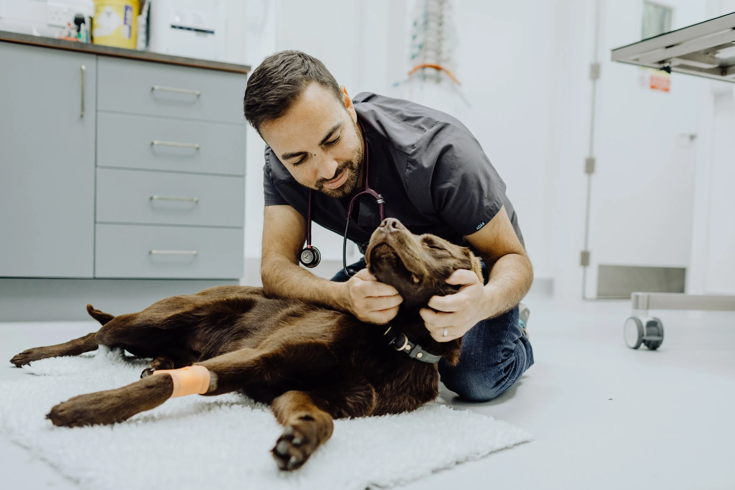 Local dog deals vet